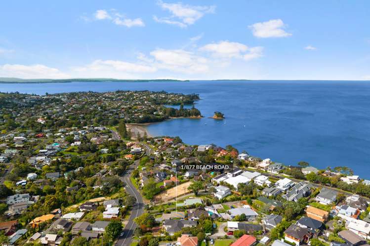 1/877 Beach Road Waiake_21