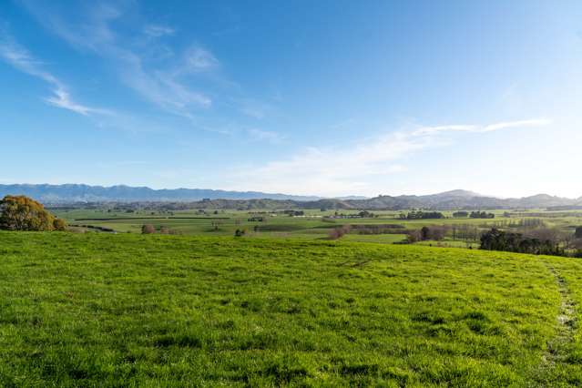 3/546 Masterton Castlepoint Road Masterton_4