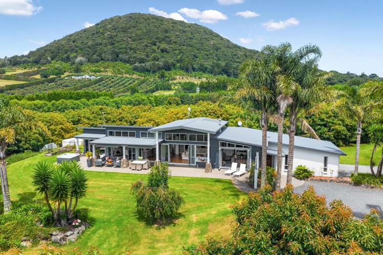 36 Watrous Downs Maungatapere_29