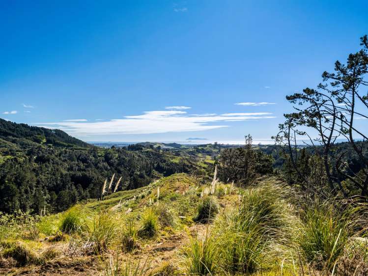 225 Rocky Cutting Road Papamoa_25