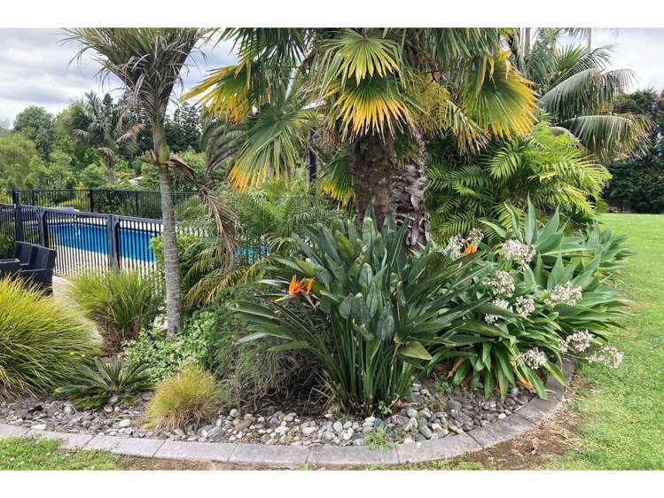 147B Stanners Road Kerikeri_25