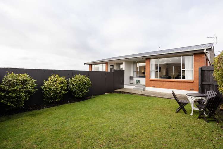 6A Hereford Street Roslyn_20