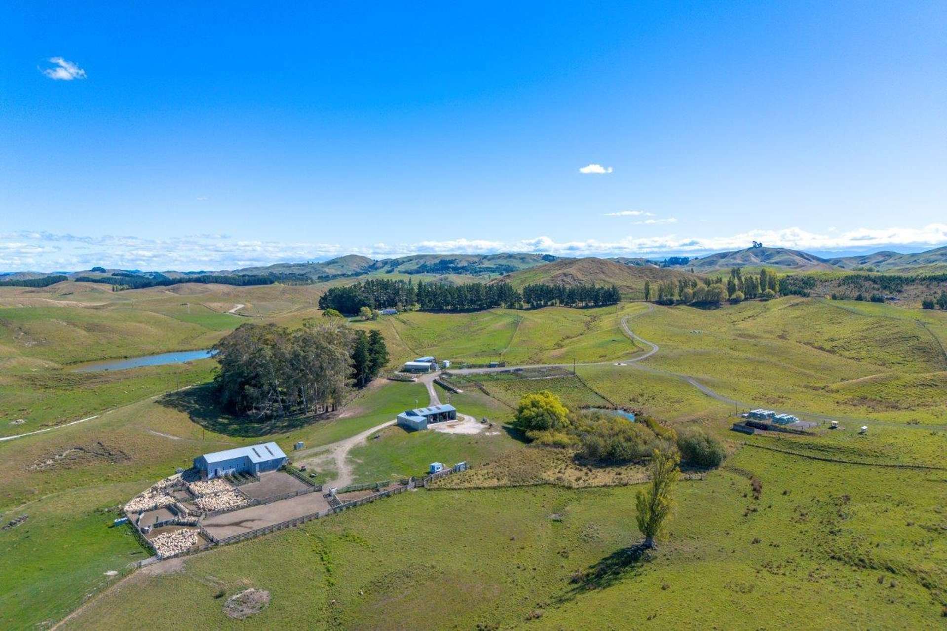 300 Pattison Road Waipukurau_0