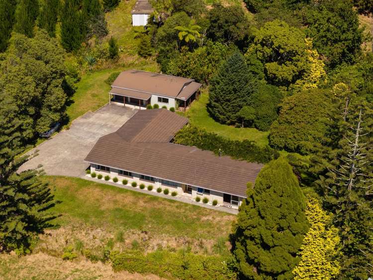 236 Willoughby Road Tahawai_23