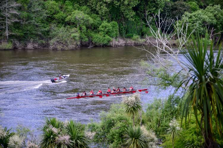20b Hardley Street Whitiora_23