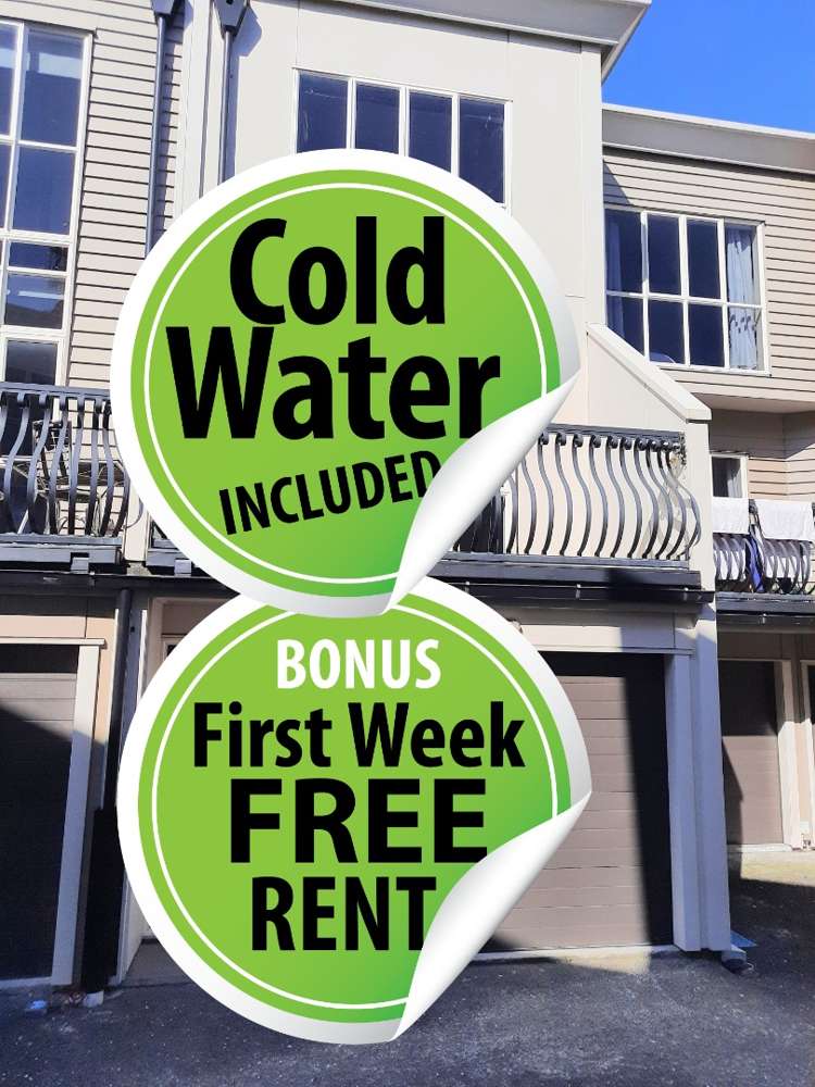 27/8 Burgoyne Street Grey Lynn_0