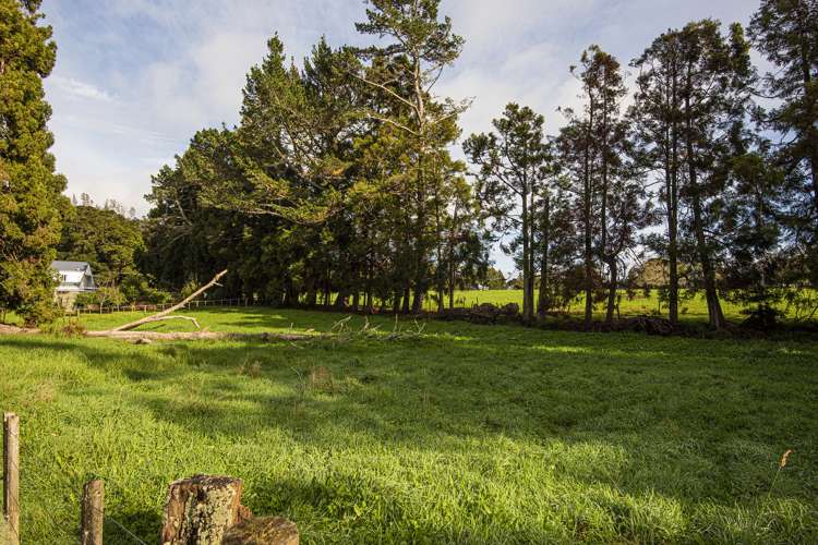 587b Crane Road Kauri_28