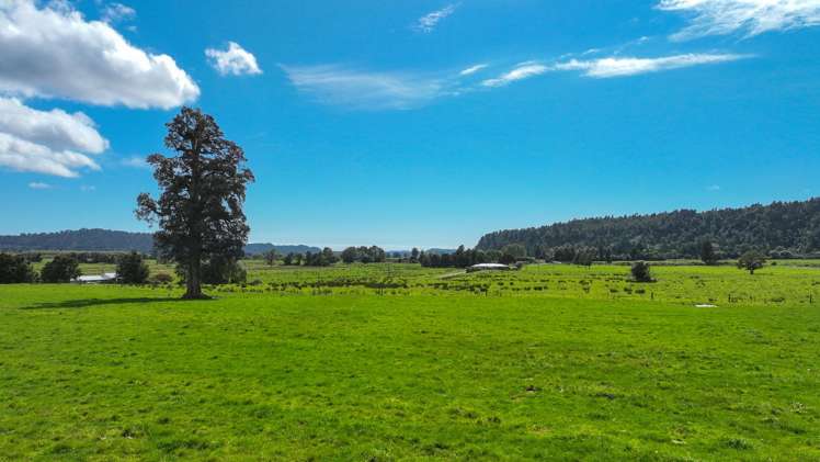 217 Poerua Valley Road Harihari_14
