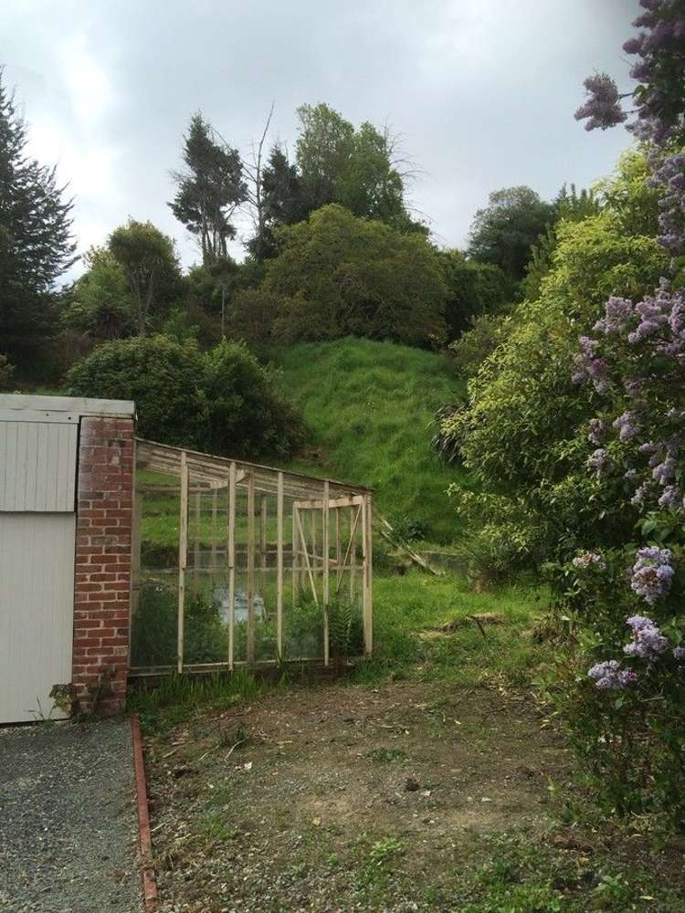 25 Fea Street Dalmore_20