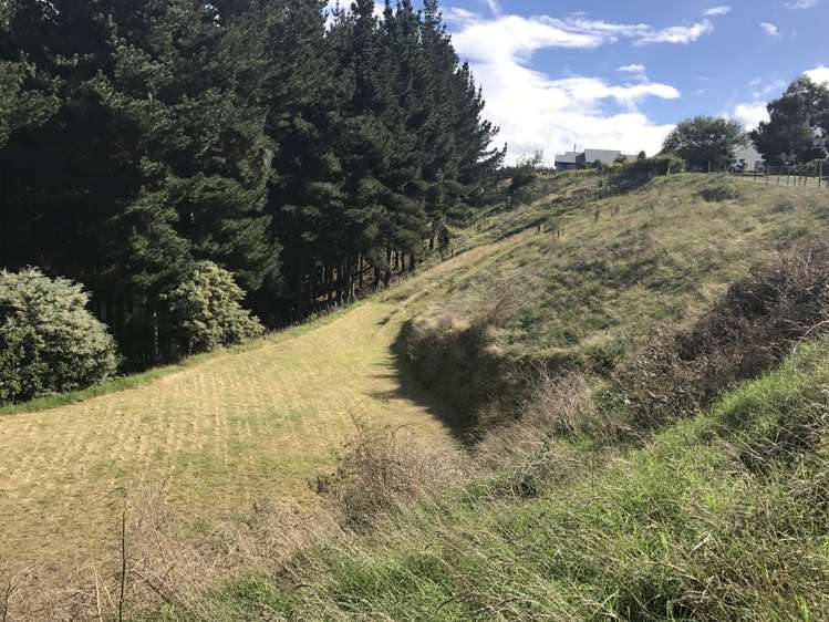 38d Montgomery Road Westmere_2