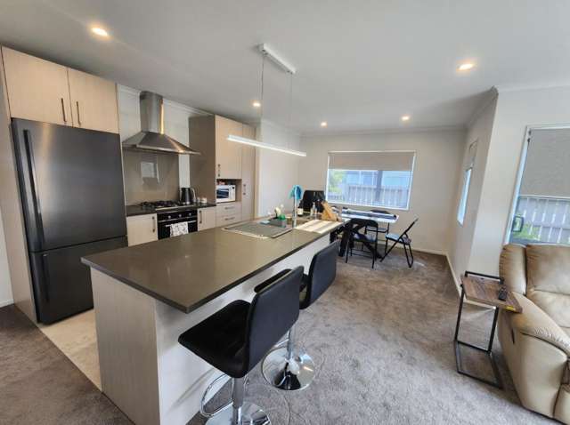 114 Kuaka Drive Auckland Central_1