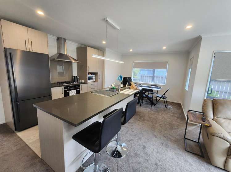 114 Kuaka Drive Auckland Central_1