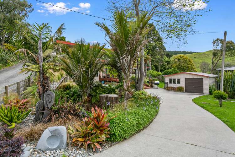 Pearl Avenue Kawhia_20