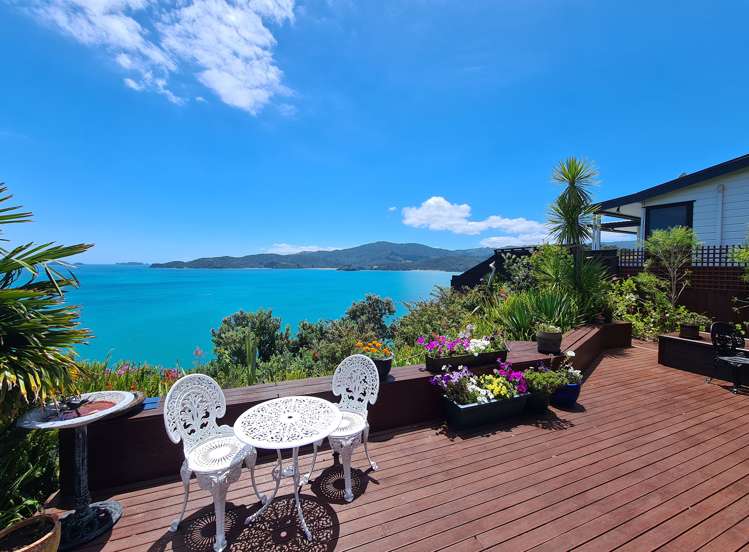 1980 Wyuna Bay Road Coromandel ThamesCoromandel Houses for Sale