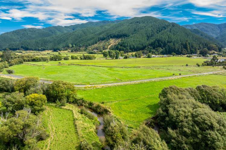 State Highway 1 Koromiko_9