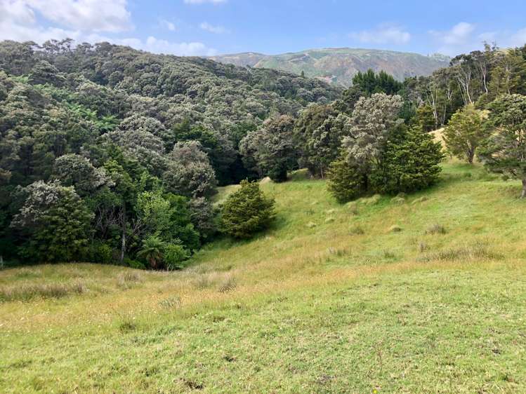 3609 State Highway 10 Kaeo_6