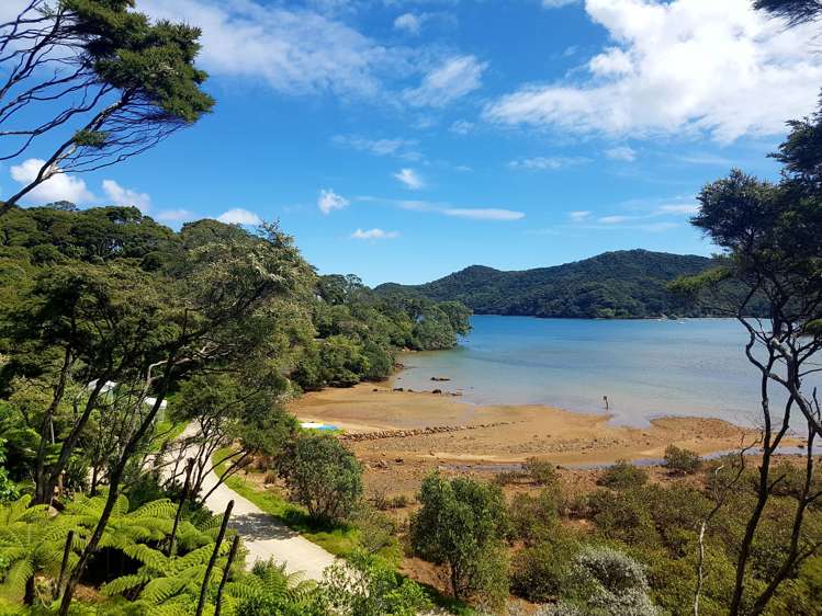 689 Whangaparapara Road Great Barrier Island (Aotea Island)_8