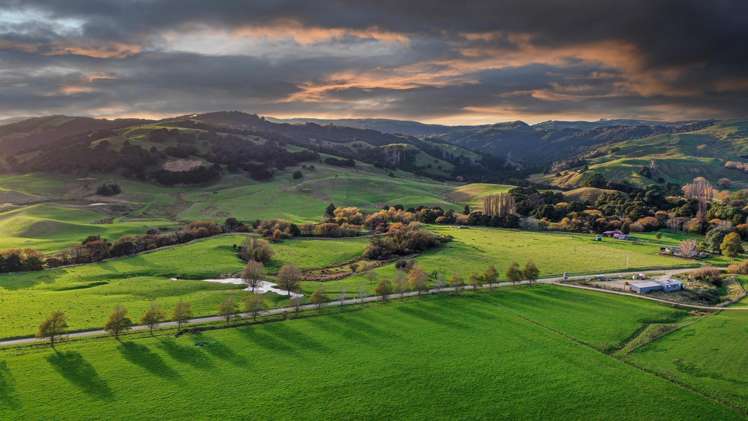 1550 Glenora Road Akitio_12