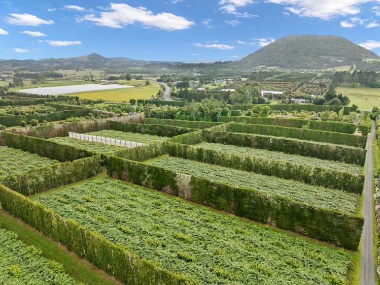 1614 State Highway 14 Maungatapere_5