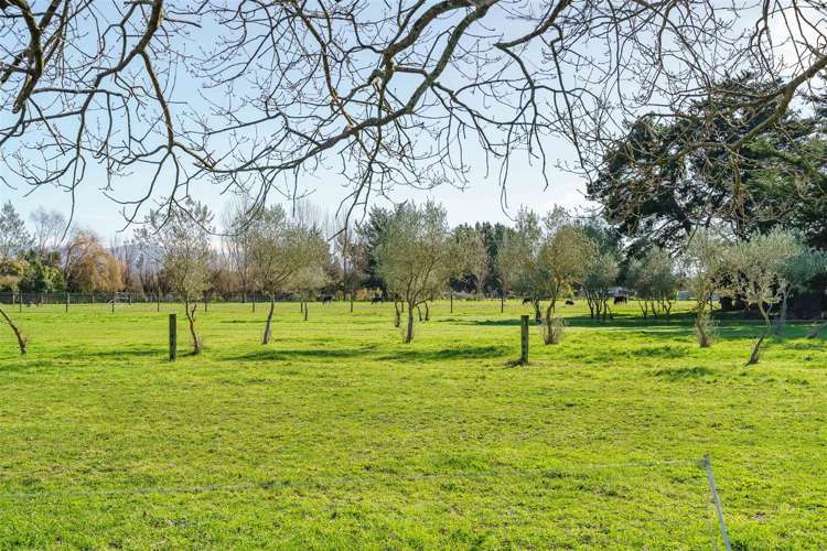 28 Nursery Road Masterton_21