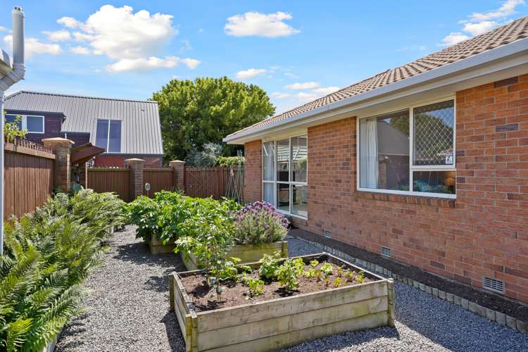 2/35 Avonhead Road Avonhead_18