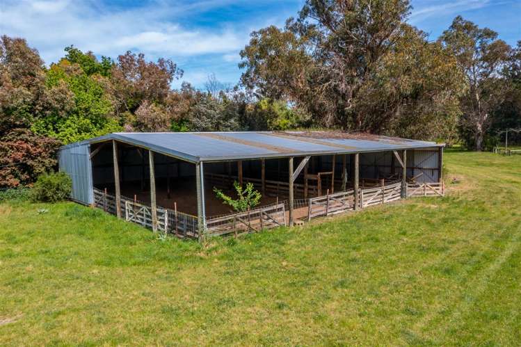 328 Purchas Road Amberley_19