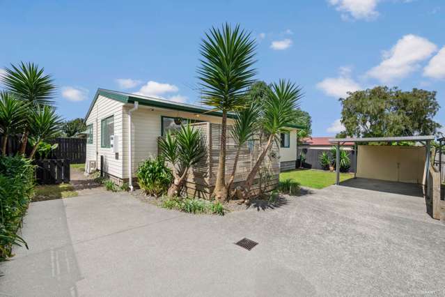 8c Dominion Road Tuakau_1