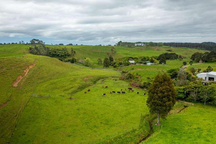 79 Dorset Road Hillsborough_39