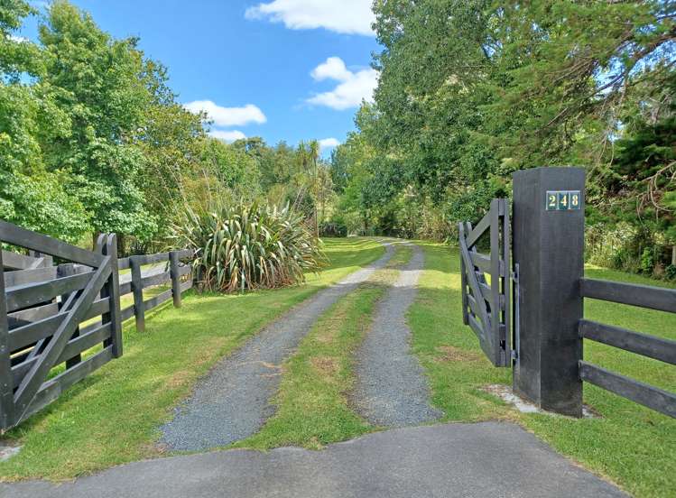 248 Blackbridge Road Dairy Flat_21