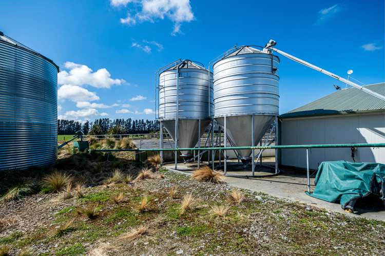 351 Alford Forest Cemetery Road Mount Somers_8