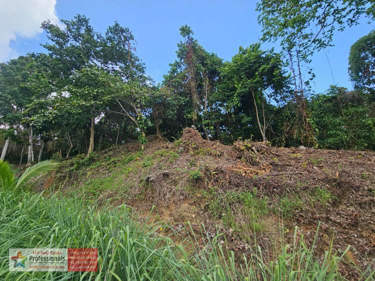 Address withheld Savusavu_11