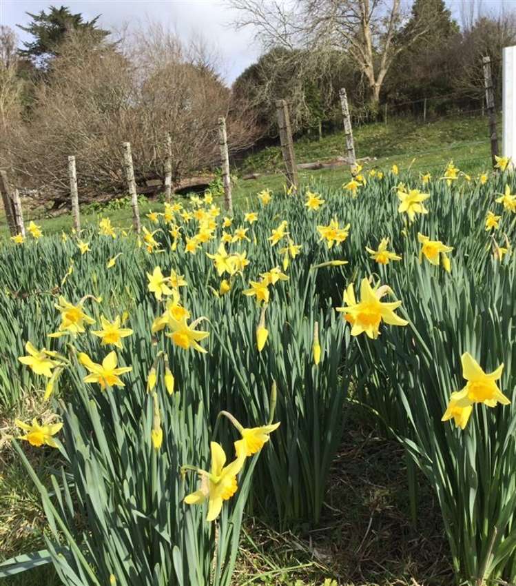 62 Oparure Road Te Kuiti_34