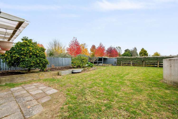 62 Lissette Road Hamilton Surrounds_18