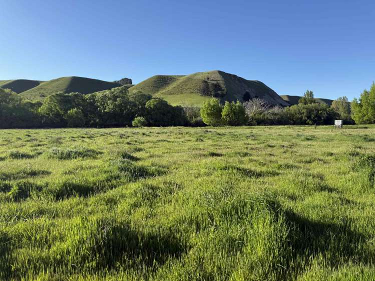 633 Ardgour Road Tarras_6