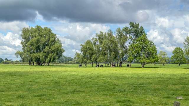 6292 State Highway 2 Paeroa_2