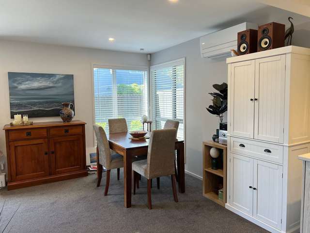 9B Hastings Street West Sydenham_2