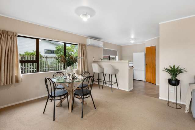 11d Snell Street Morrinsville_4