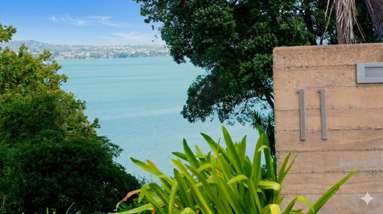 1/11 Pullum Street_3