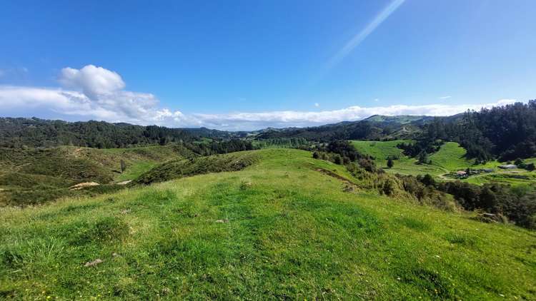 1104 Tapuhi Road Hikurangi Rd2_20