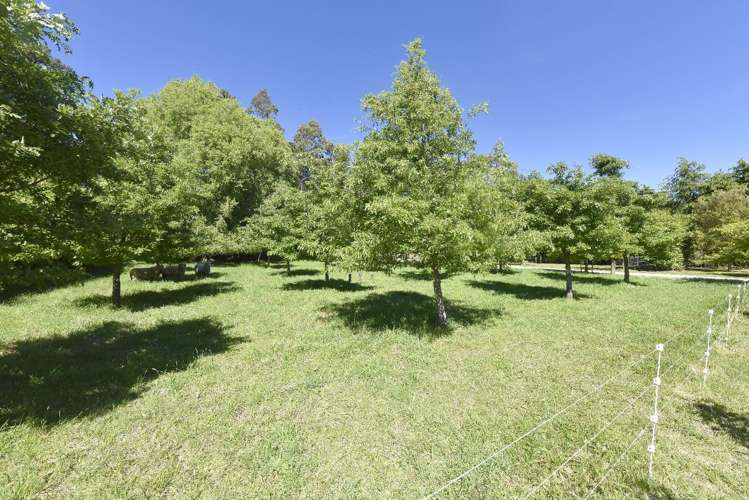 1710 Hoskyns Road Kirwee_20