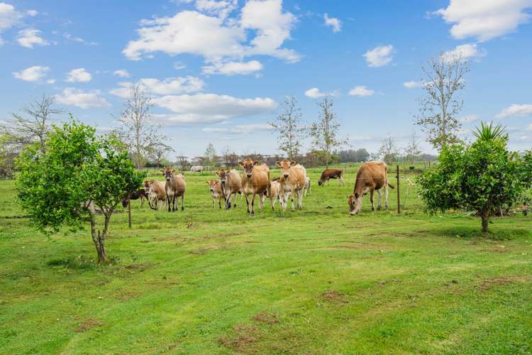 43 Ted Erceg Road Ruakaka_27