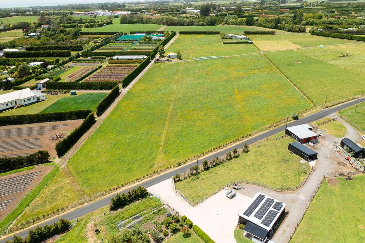 202 Kairau Road East_1