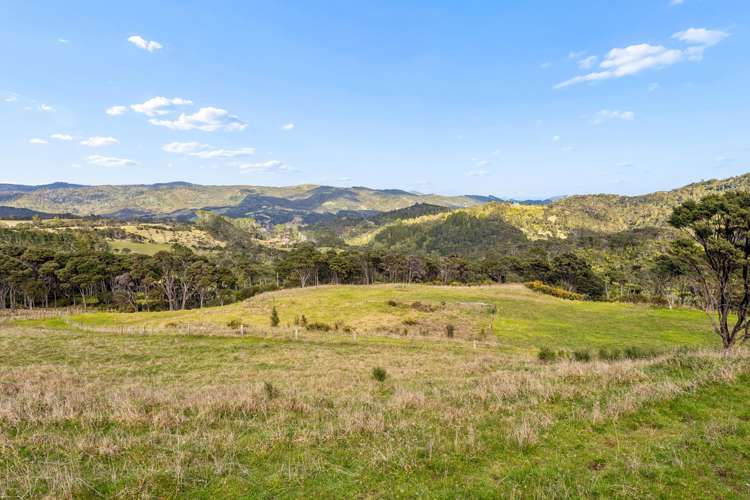 233 Wairere Road Waitakere_15