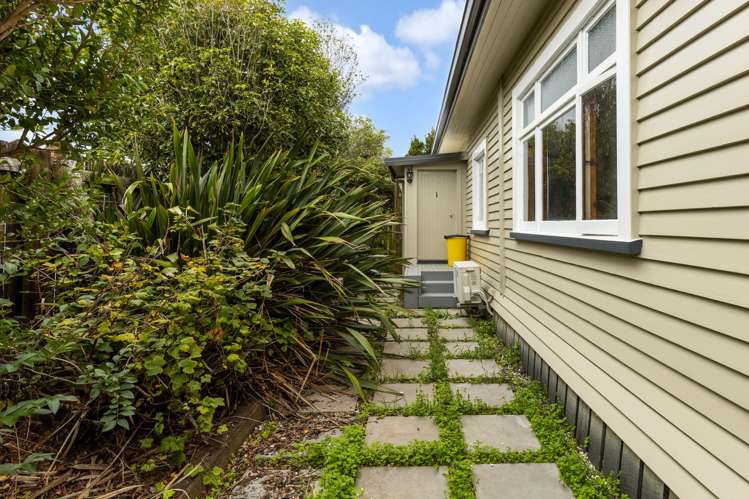 67 Seddon Street Ward_16