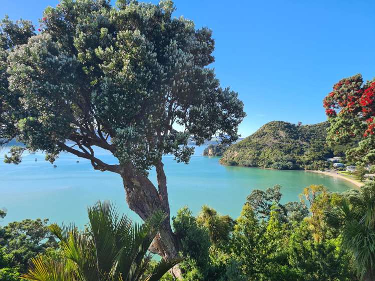 1999 Wyuna Bay Road Coromandel_12