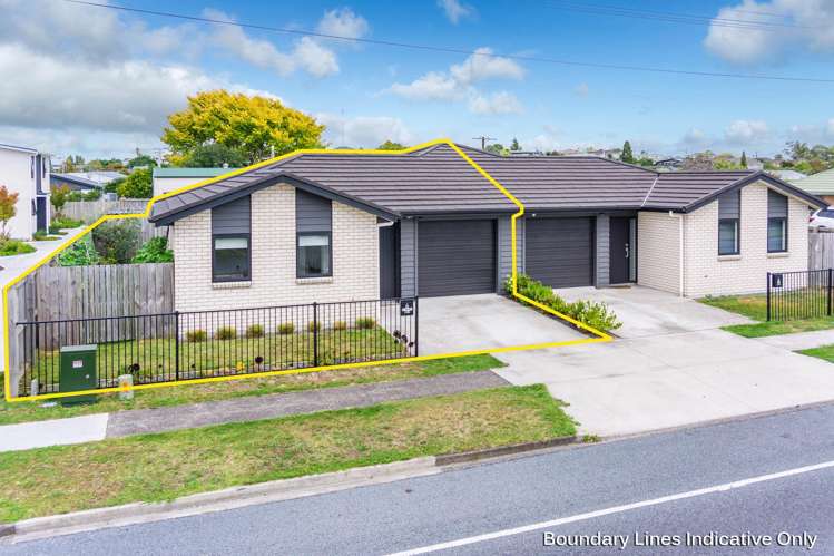 1/41 Grandview Road Nawton_17