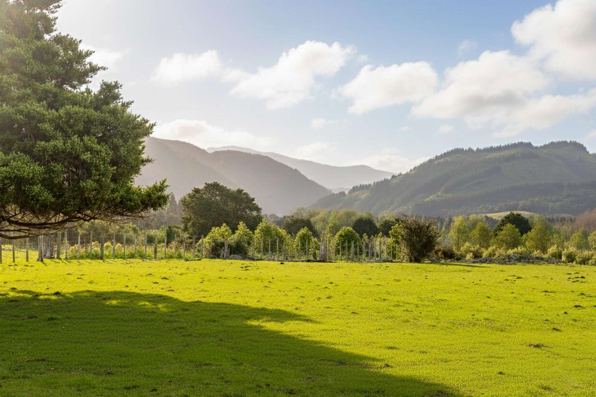 284 Woodside Road Greytown_0