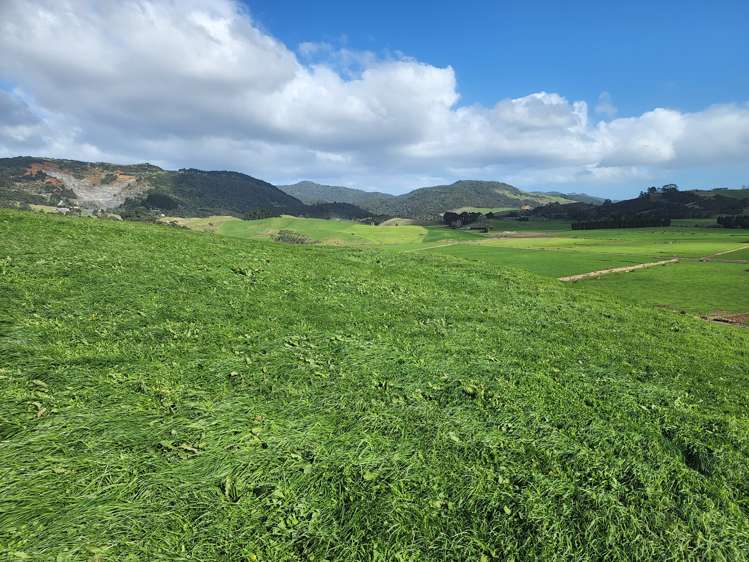 LOT 3/33 Barriball Road Kaitaia_49