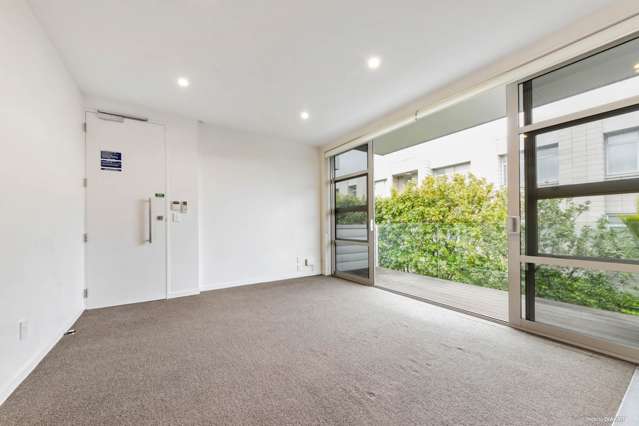 411 Murphys Road Flat Bush_1