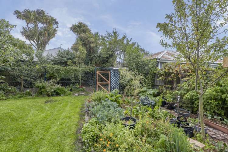 17 Dacre Street Linwood_16